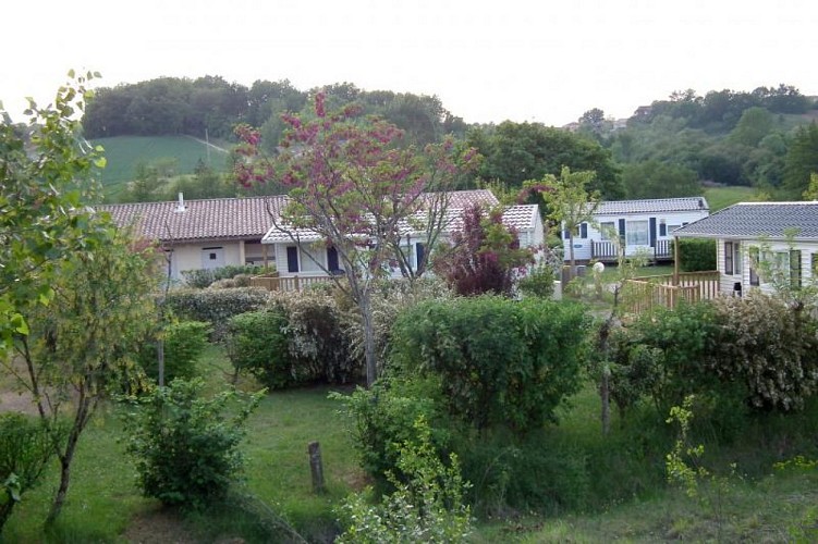 Camping du Malivert : Rouge-gorge