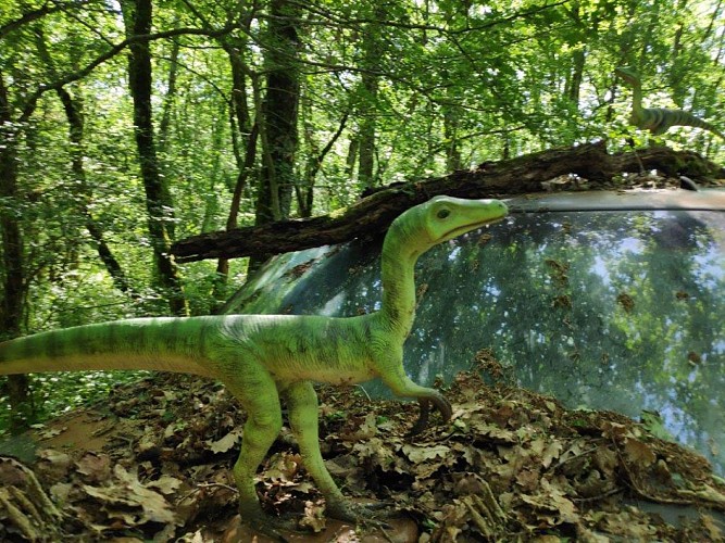 Mas de Saillac - La capanna arroccata - Jurassic