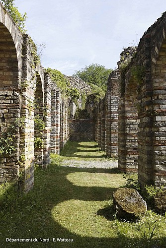 Forum antique de Bavay et musée archéologique