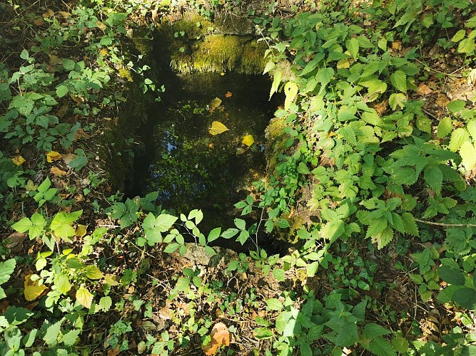 Les Sept Fontaines qui font Septfonds