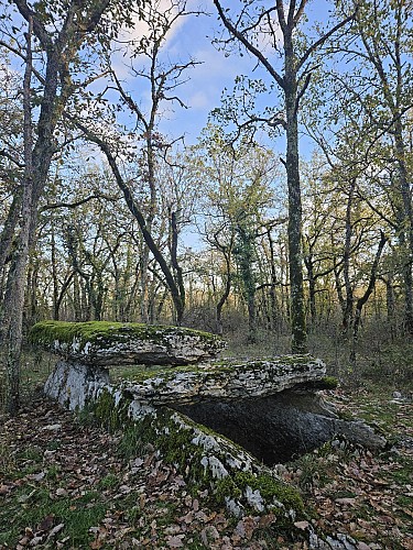 Septfonds, stone and straw bastide