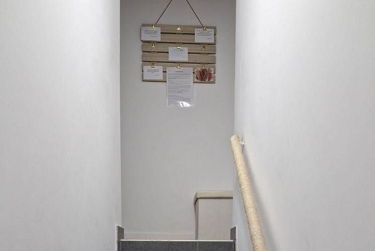 Escalier pour aller dans les chambres