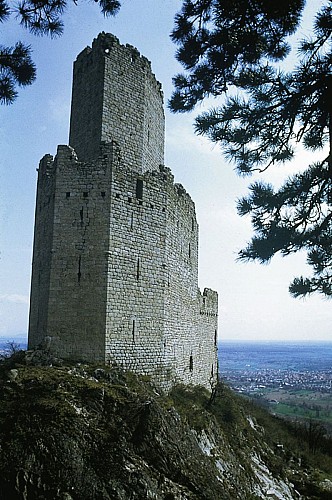 Le Château de l'Ortenbourg et sa vue.