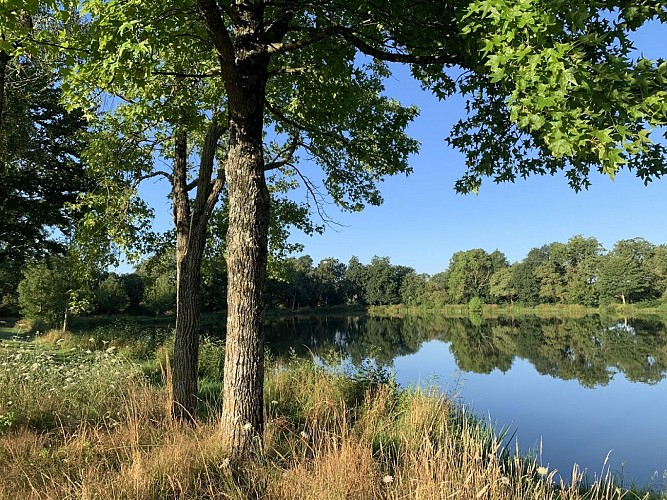Etang de pêche de la Gourmenière