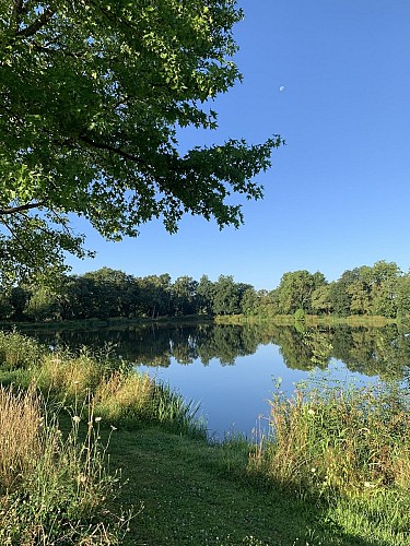 Etang de pêche de la Gourmenière