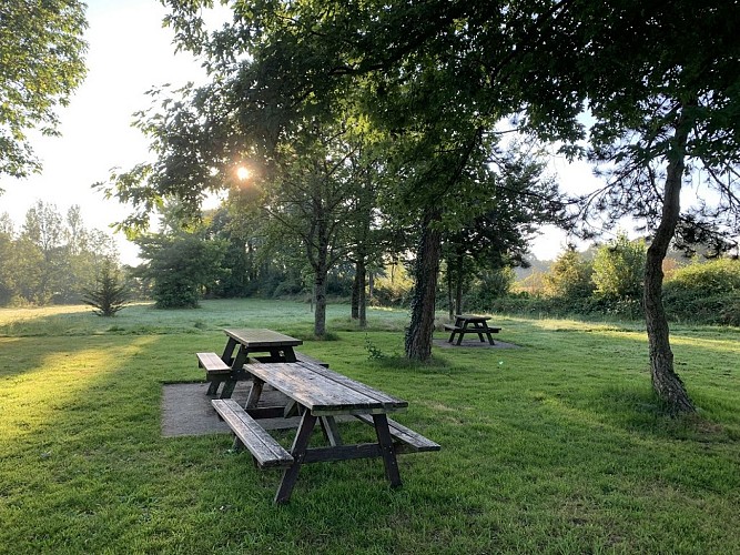 Etang de pêche de la Gourmenière