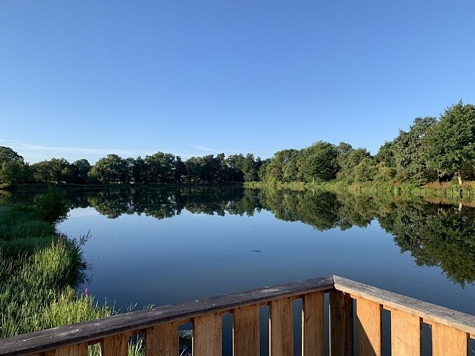 Etang de pêche de la Gourmenière