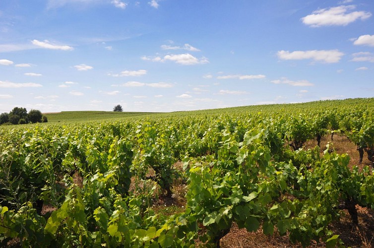 La Maison Parfum d'Amour