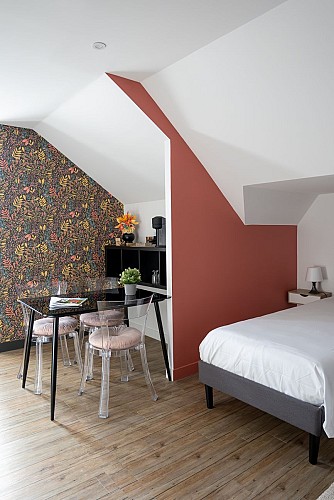 GITE DE CHARME 15 pers / 20mn ANGERS/ 30mn SAUMUR/ 250m CHATEAU DE BRISSAC, vue vignoble de l'Aubance