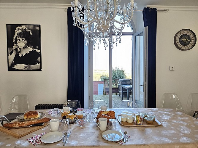 GITE DE CHARME 15 pers / 20mn ANGERS/ 30mn SAUMUR/ 250m CHATEAU DE BRISSAC, vue vignoble de l'Aubance