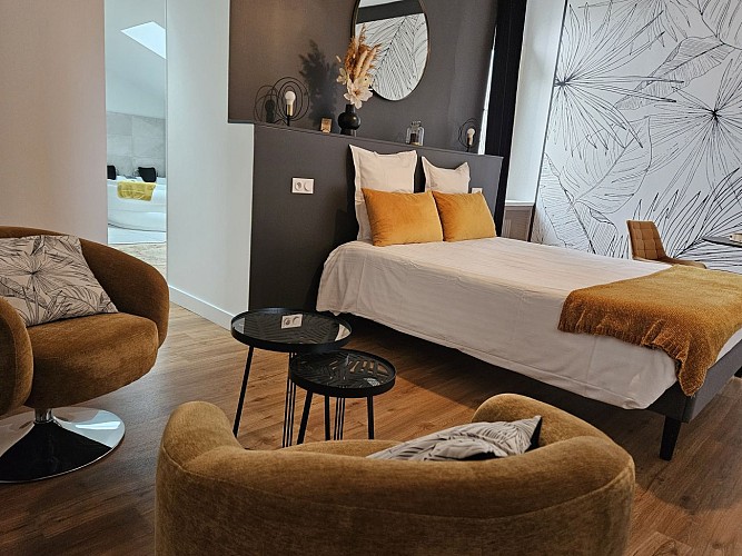 GITE DE CHARME 15 pers / 20mn ANGERS/ 30mn SAUMUR/ 250m CHATEAU DE BRISSAC, vue vignoble de l'Aubance