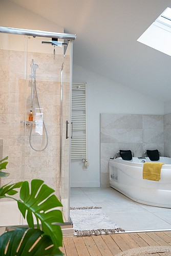 GITE DE CHARME 15 pers / 20mn ANGERS/ 30mn SAUMUR/ 250m CHATEAU DE BRISSAC, vue vignoble de l'Aubance