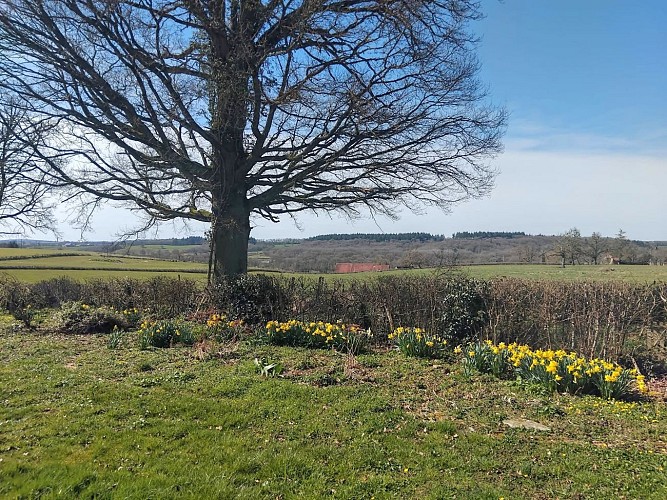 Gîte charolais MONT-ET-MARRE -View 3