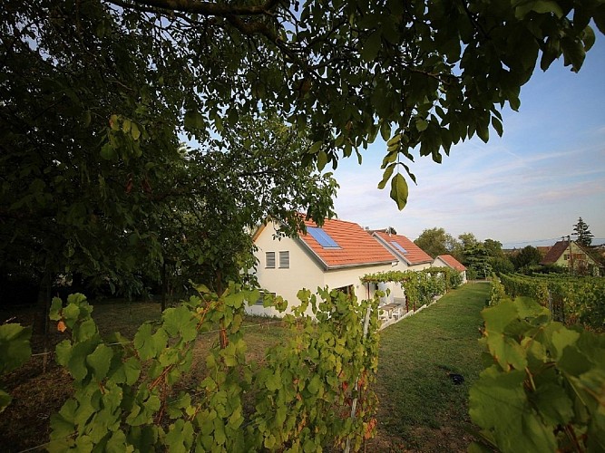 Holiday rental Gîte des Grands Crus Riesling - Sabine and François ZINK