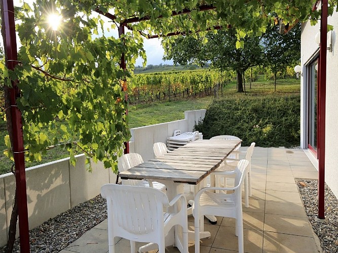 Holiday rental Gîte des Grands Crus Riesling - Sabine and François ZINK