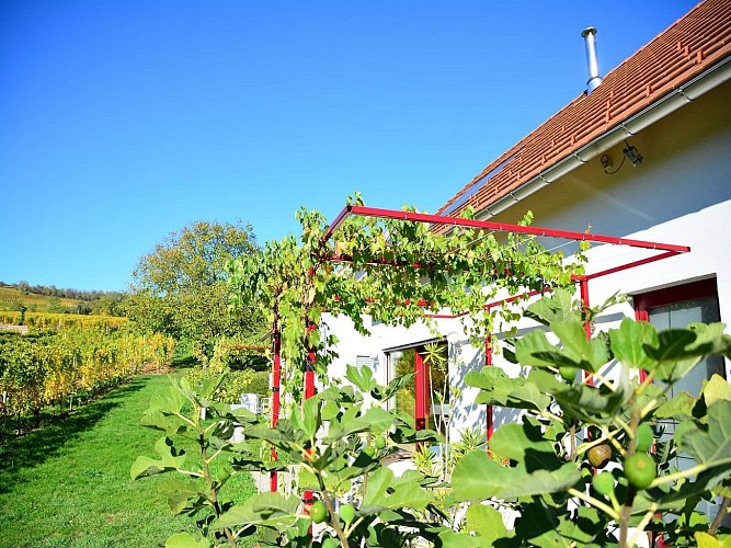Gîte des Grands Crus Riesling - Sabine et François ZINK