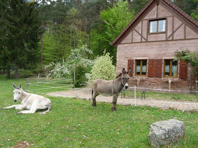 Gîte La Fermette