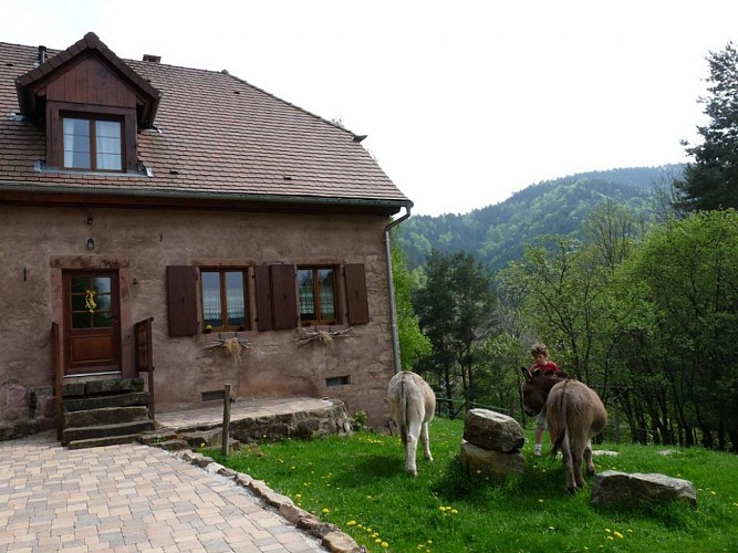 Gîte le Corps de Ferme