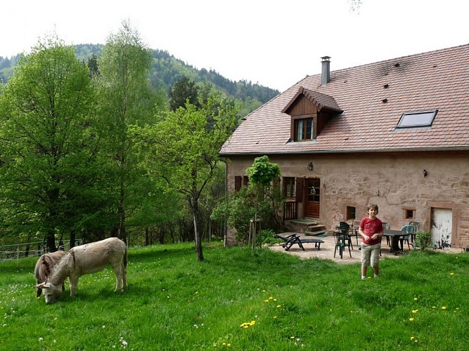 Gîte le Corps de Ferme