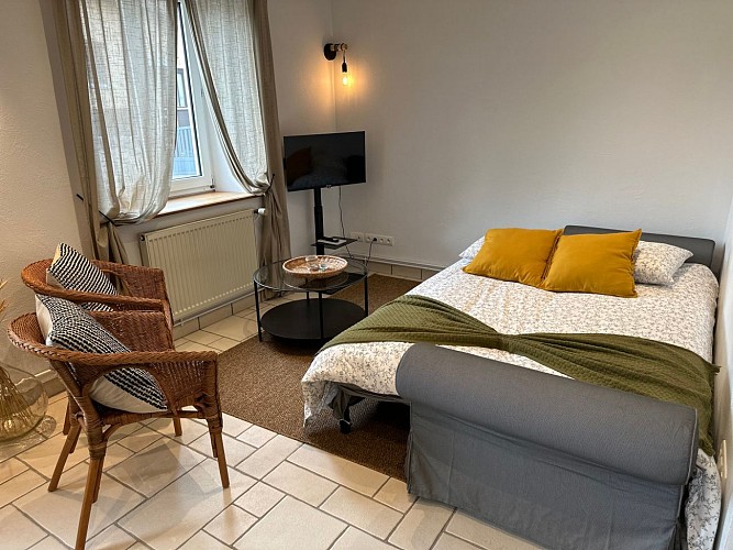 Cosy Bretzel - Salon avec canapé lit convertible