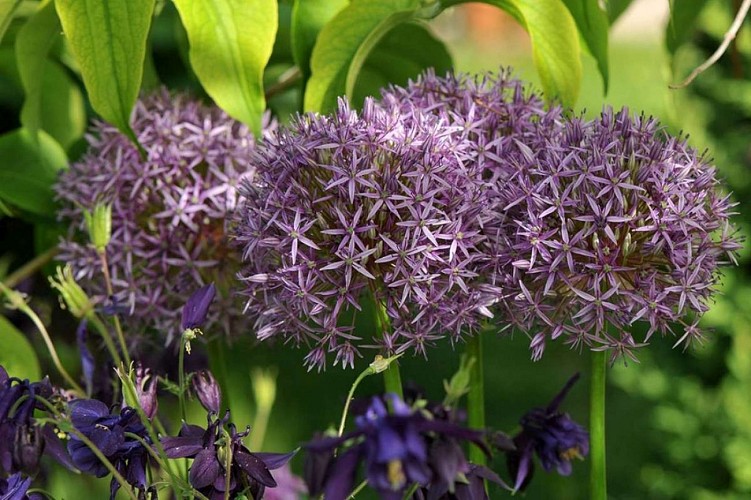 Der Garten von Pierrette