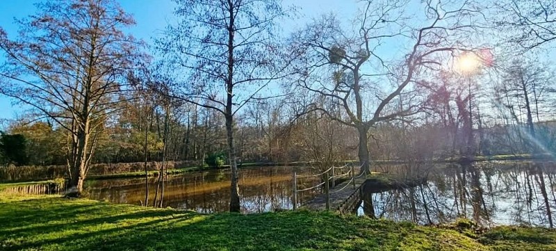 Screenshot_20250320_081225_Facebook