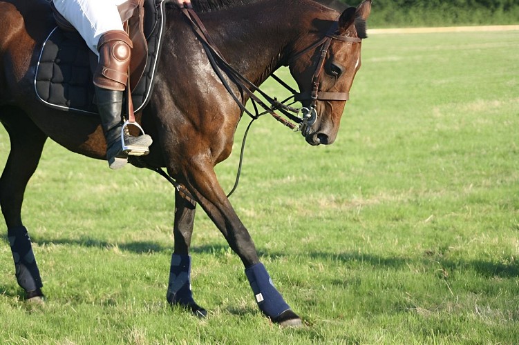 209008_335885746498279_51452041_n