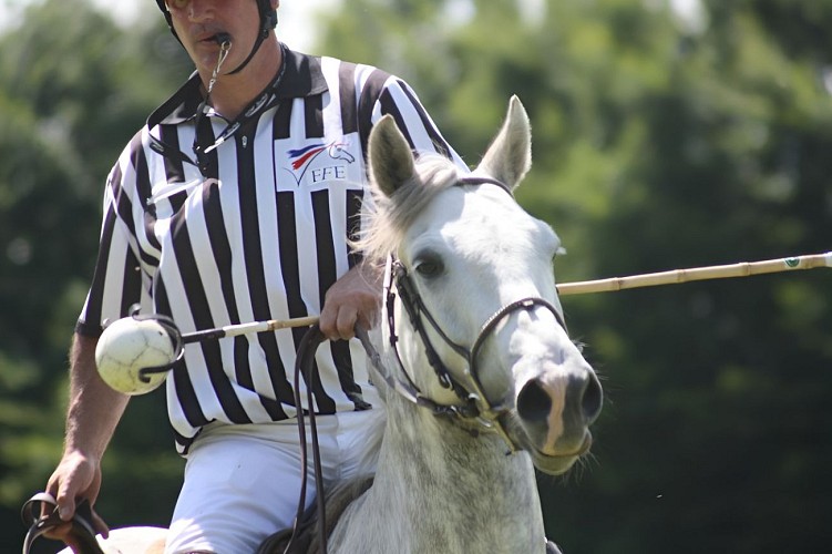 552225_335890533164467_224291212_n