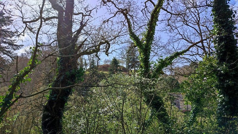 Motte féodale Milin ar C'hastell