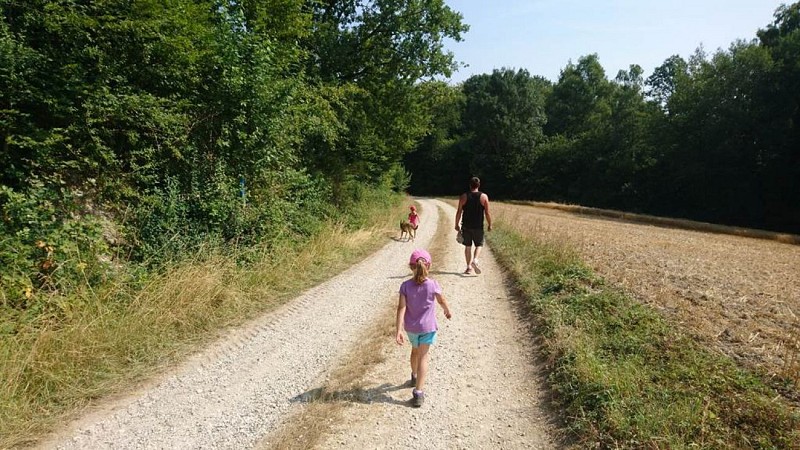 Marcheurs en forêt d'Argonne