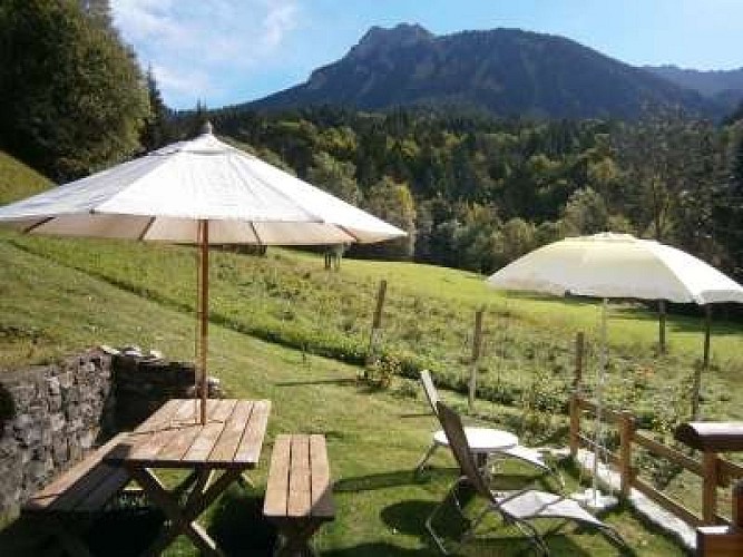 Chalet Fleur des neiges