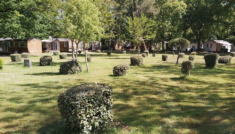 Des chalets dans des espaces verts et arborés.