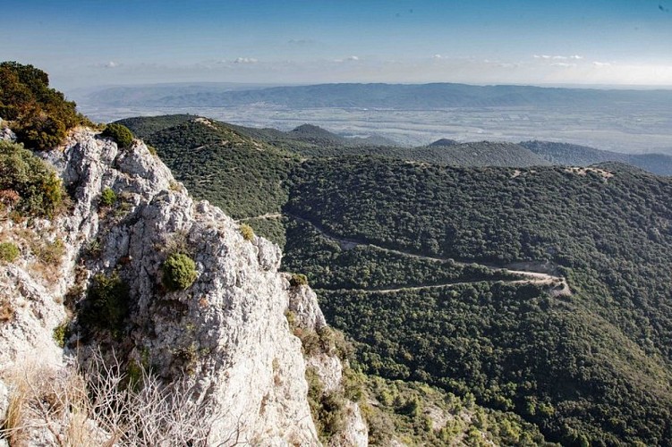 Chênaie verte sous le Pic de l’Aigle, depuis les Portalas