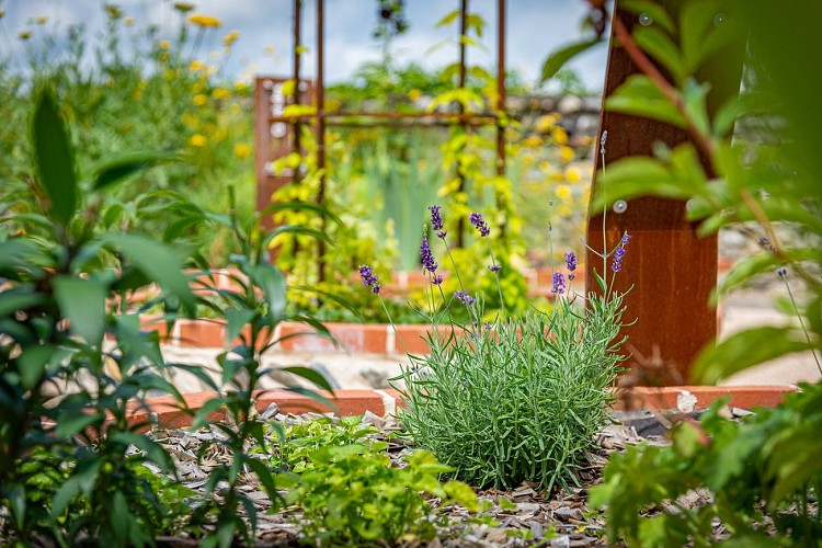 Jardin médiéval - Lescar