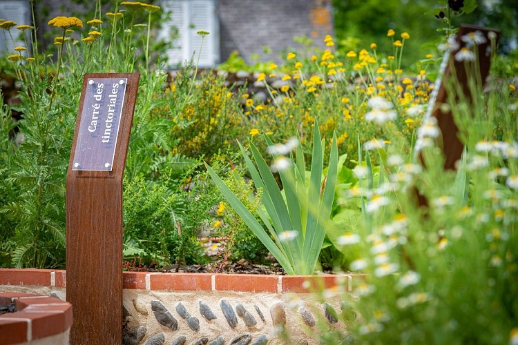 Jardin médiéval - Lescar