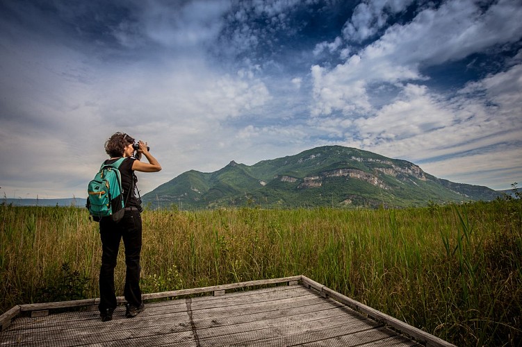 Naturreservat Marais de Lavours, ENS des Departements Ain