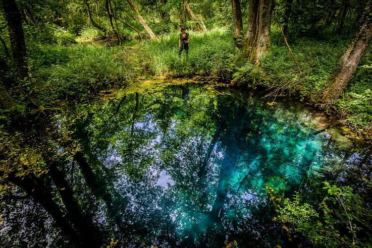 Naturreservat Marais de Lavours, ENS des Departements Ain
