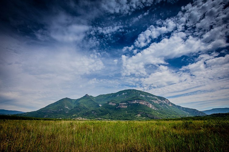 Naturreservat Marais de Lavours, ENS des Departements Ain