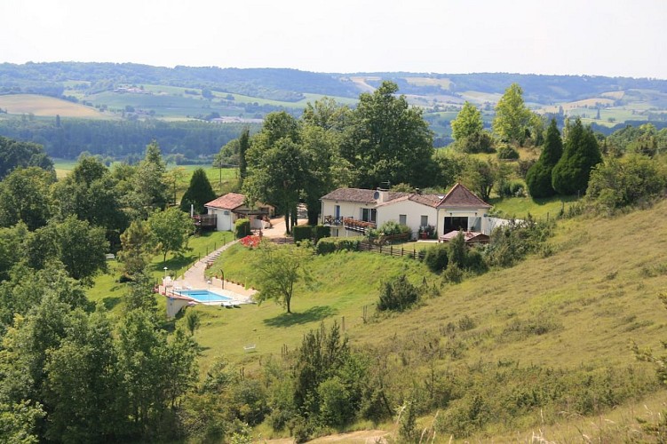 Hide Away & Sunflower