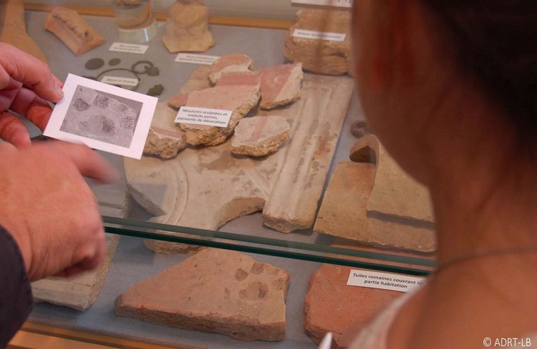 Le musée Alfred Danicourt