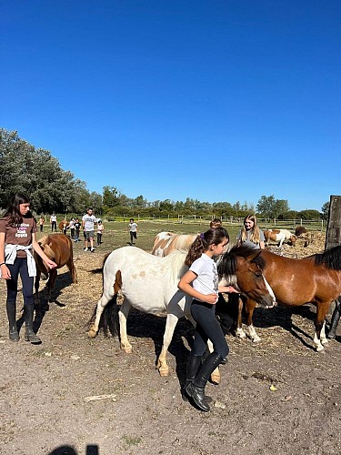 ESPACE EQUESTRE DE MAZEROLLES