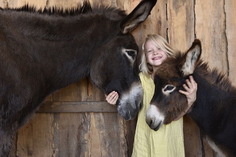 Asinerie du Bois Gamats