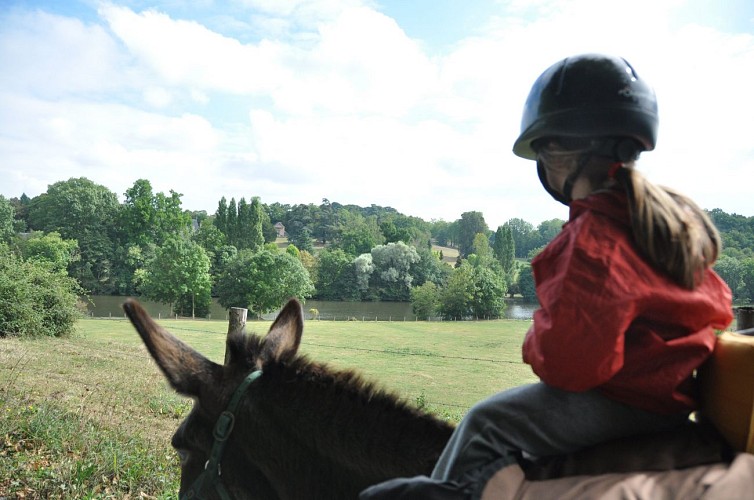 Asinerie du Bois Gamats