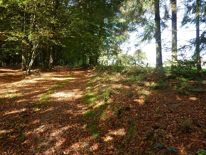 Overdekte picnic-halte