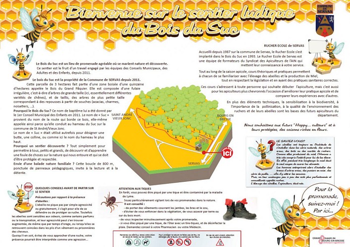 Sentier ludique du Bois du Suc