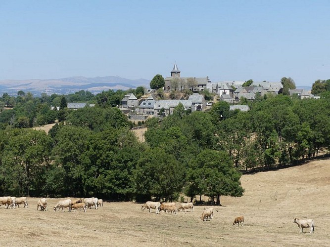 Vines offre des points de vue uniques sur le lac de Sarrans et les volcans du Cantal
