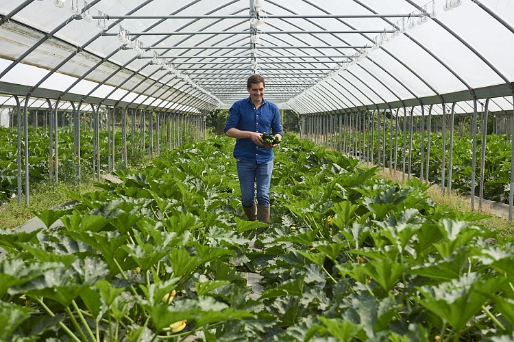 La Cueillette de La Grange