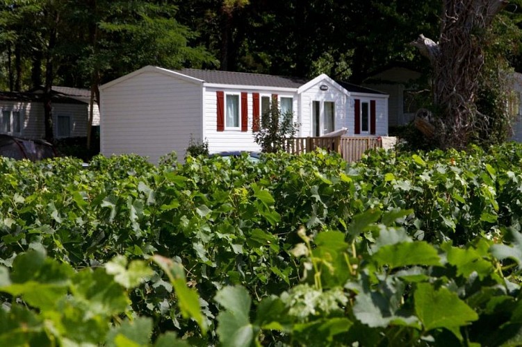 425835283_888511296607275_6566638433033306243_n