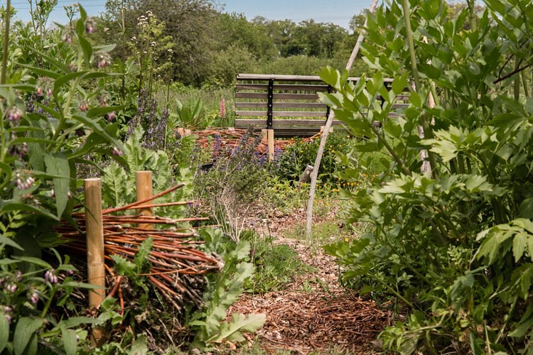 Jardin