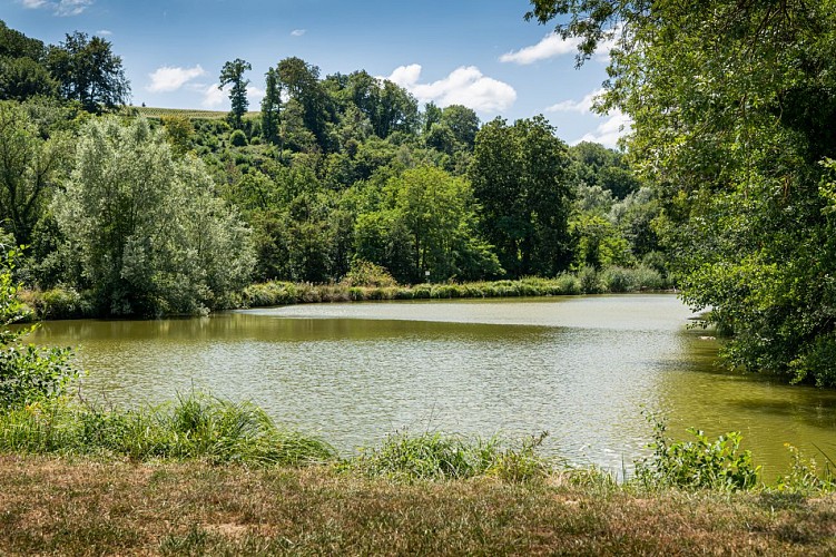 Etang du Batou